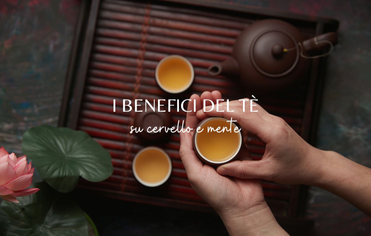 Proprietà del tè: 4 benefici per cervello e mente - Hindigena Teas