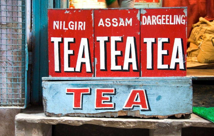 Dove si coltiva il tè in India? Scopri le regioni di Assam, Darjeeling, Nilgiri e Bihar