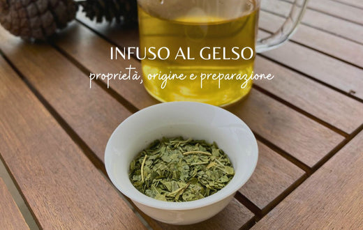 Infuso al Gelso: guida ai benefici, proprietà, origine e preparazione - Hindigena Teas