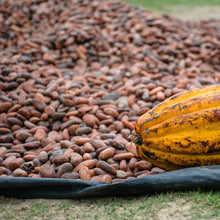 Carica l'immagine nel visualizzatore di Gallery, Box Colombia | Caffè e Tisana