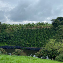 Carica l'immagine nel visualizzatore di Gallery, Box Colombia | Caffè e Tisana