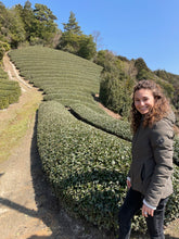 Carica l'immagine nel visualizzatore di Gallery, Tè verde Sakura Sencha (Giappone)