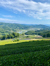 Carica l'immagine nel visualizzatore di Gallery, Tè verde tostato Hojicha in polvere (Giappone)