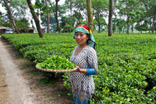 Carica l'immagine nel visualizzatore di Gallery, Tè oolong Doke Rolling Thunder (India)