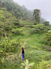 Carica l'immagine nel visualizzatore di Gallery, La natura incontaminata dal quale sono circondate le foreste di tè nel quale cresce questo tè