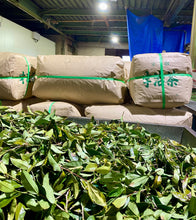 Carica l'immagine nel visualizzatore di Gallery, Fabbrica te, Wazuka Kyoto Giappone