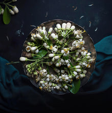 Carica l'immagine nel visualizzatore di Gallery, Fiori di pomelo