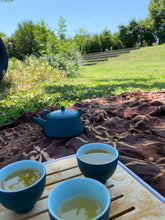 Carica l'immagine nel visualizzatore di Gallery, Evento #Wildtea || Degustazione di tè nella natura