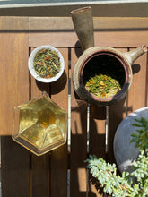 Carica l'immagine nel visualizzatore di Gallery, Tè verde Kukicha e Yuzu (Giappone)