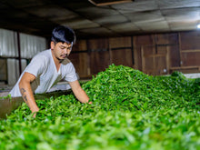 Carica l'immagine nel visualizzatore di Gallery, Tè nero Kathmandu (Nepal)