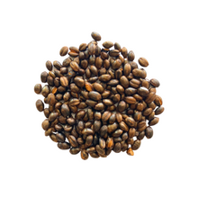 Carica l'immagine nel visualizzatore di Gallery, Infuso Mugicha, orzo tostato (Giappone)