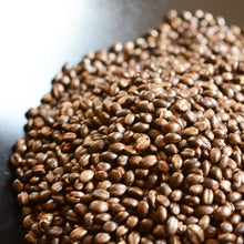 Carica l'immagine nel visualizzatore di Gallery, Infuso Mugicha, orzo tostato (Giappone)