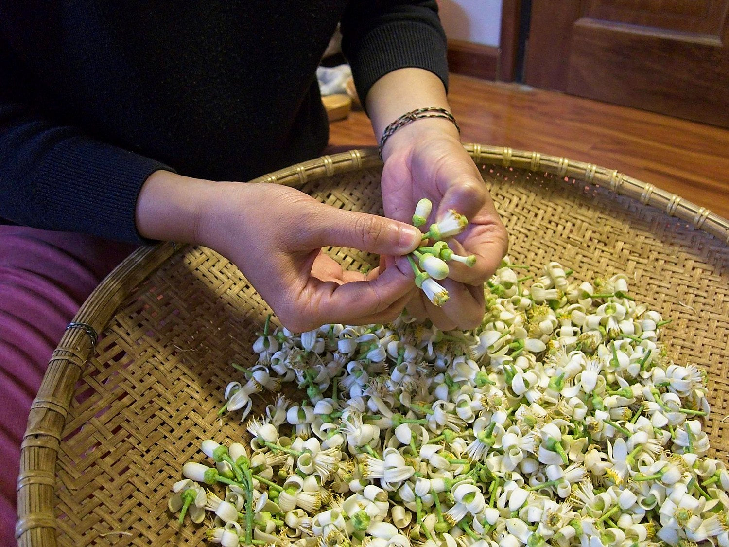 Preparazione dei fiori di pomelo, con rimozione dello stelo, prima del blend con le foglie di tè verde