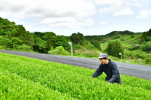 Carica l'immagine nel visualizzatore di Gallery, Tè verde Kukicha e Yuzu (Giappone)