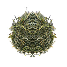 Carica l'immagine nel visualizzatore di Gallery, Tè oolong needle Obubu (Giappone)