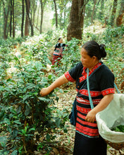 Carica l'immagine nel visualizzatore di Gallery, Tè verde Dhara (Thailandia)