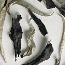 Carica l'immagine nel visualizzatore di Gallery, Foglie di tè bianco Aged Silver Dew: tè bianco invecchiato per 3 anni