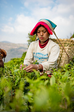 Carica l'immagine nel visualizzatore di Gallery, Tè nero Kathmandu (Nepal)