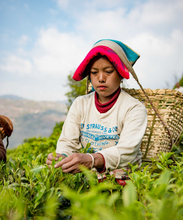 Carica l'immagine nel visualizzatore di Gallery, Tè verde Kanchanjangha, Ilam, Nepal