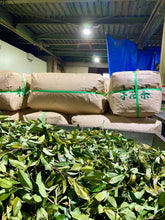 Carica l'immagine nel visualizzatore di Gallery, Tè verde giapponese da Wazuka, prefettura Kyoto, Nakai Organic Tea Garden