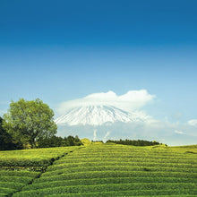 Carica l'immagine nel visualizzatore di Gallery, Tè verde Matcha grado cerimoniale (Giappone)