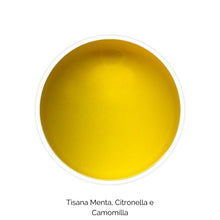 Carica l&#39;immagine nel visualizzatore di Gallery, Tisana Menta, Citronella e Camomilla (India, 50g)
