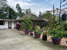 Carica l'immagine nel visualizzatore di Gallery, Yanki Tea Factory, India