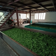 Carica l'immagine nel visualizzatore di Gallery, Yanki Tea Factory, India