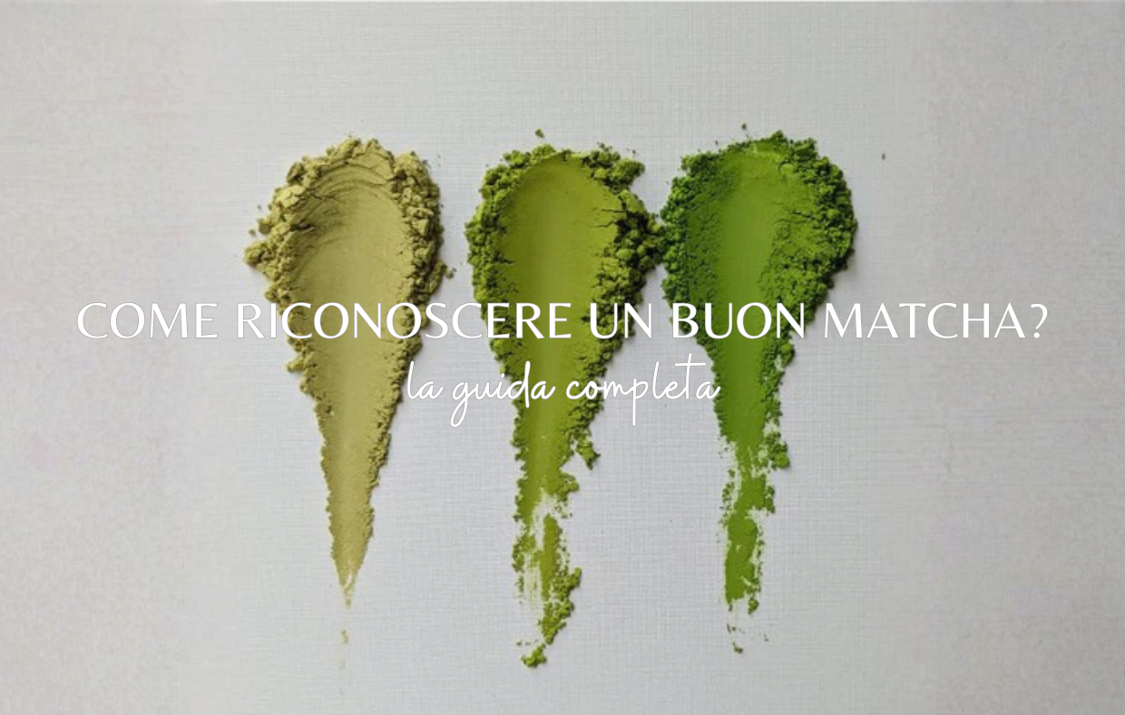 Come riconoscere un matcha di qualità: guida per evitare errori d'acquisto
