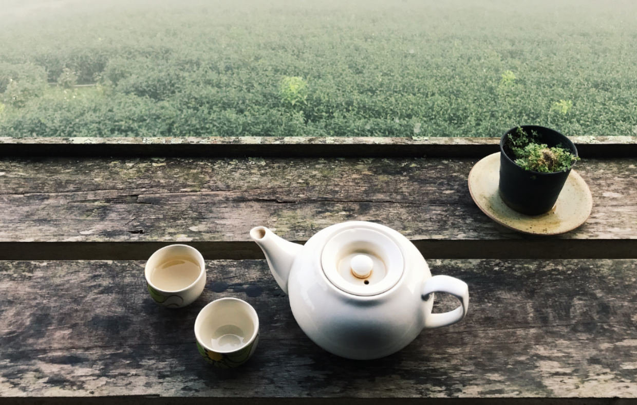 23 fatti e curiosità sul tè in foglia (che forse non conoscevi)