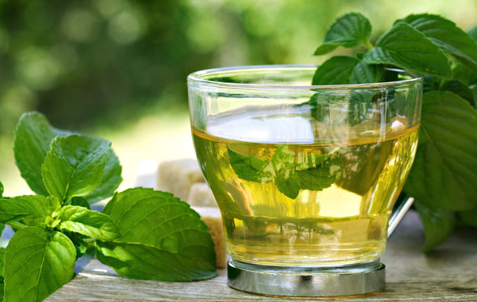 Tè verde freddo alla menta: come prepararlo in casa