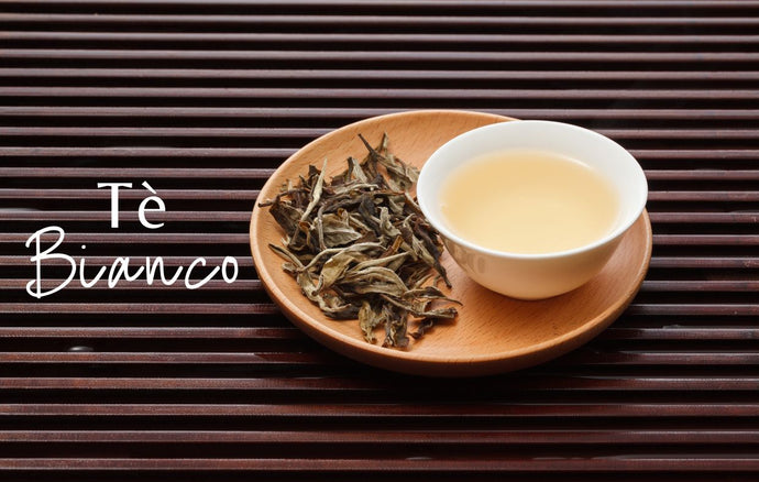 Tè bianco: proprietà, preparazione e caratteristiche
