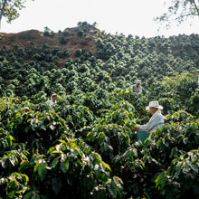 Carica l&#39;immagine nel visualizzatore di Gallery, Box Colombia | Caffè e Tisana
