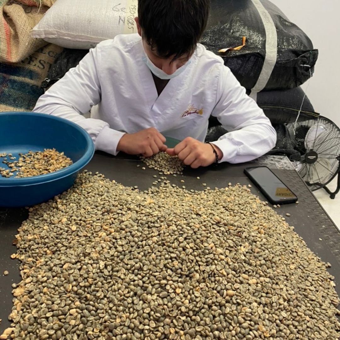 Box Colombia | Caffè e Tisana