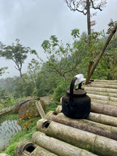 Carica l&#39;immagine nel visualizzatore di Gallery, Tazza di tè con vista sulle montagne del nord del vietnam
