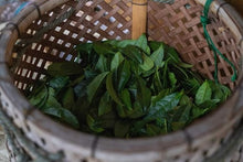 Carica l'immagine nel visualizzatore di Gallery, Tea Box | Tè Giapponesi 🇯🇵
