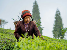 Carica l&#39;immagine nel visualizzatore di Gallery, Tea plucker in Nepal, Tè nero Kathmandu

