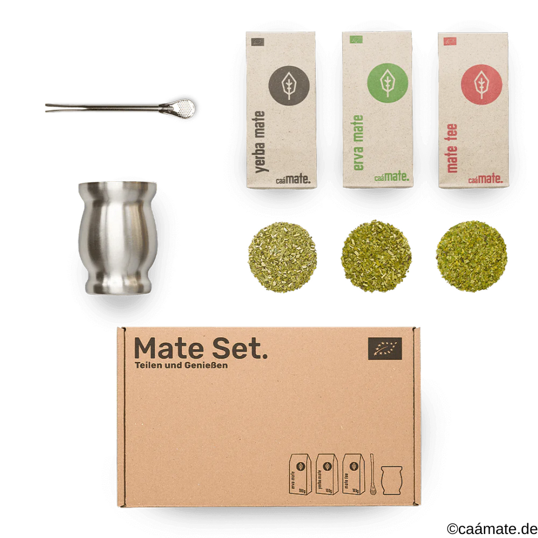 Mate starter set: mate + bombilla + matero (acciaio inox)