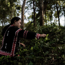 Carica l&#39;immagine nel visualizzatore di Gallery, Tè nero Lahu (Thailandia)
