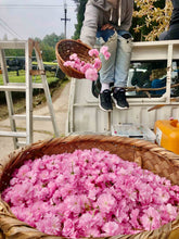 Carica l&#39;immagine nel visualizzatore di Gallery, Tè verde Sakura Sencha (Giappone)
