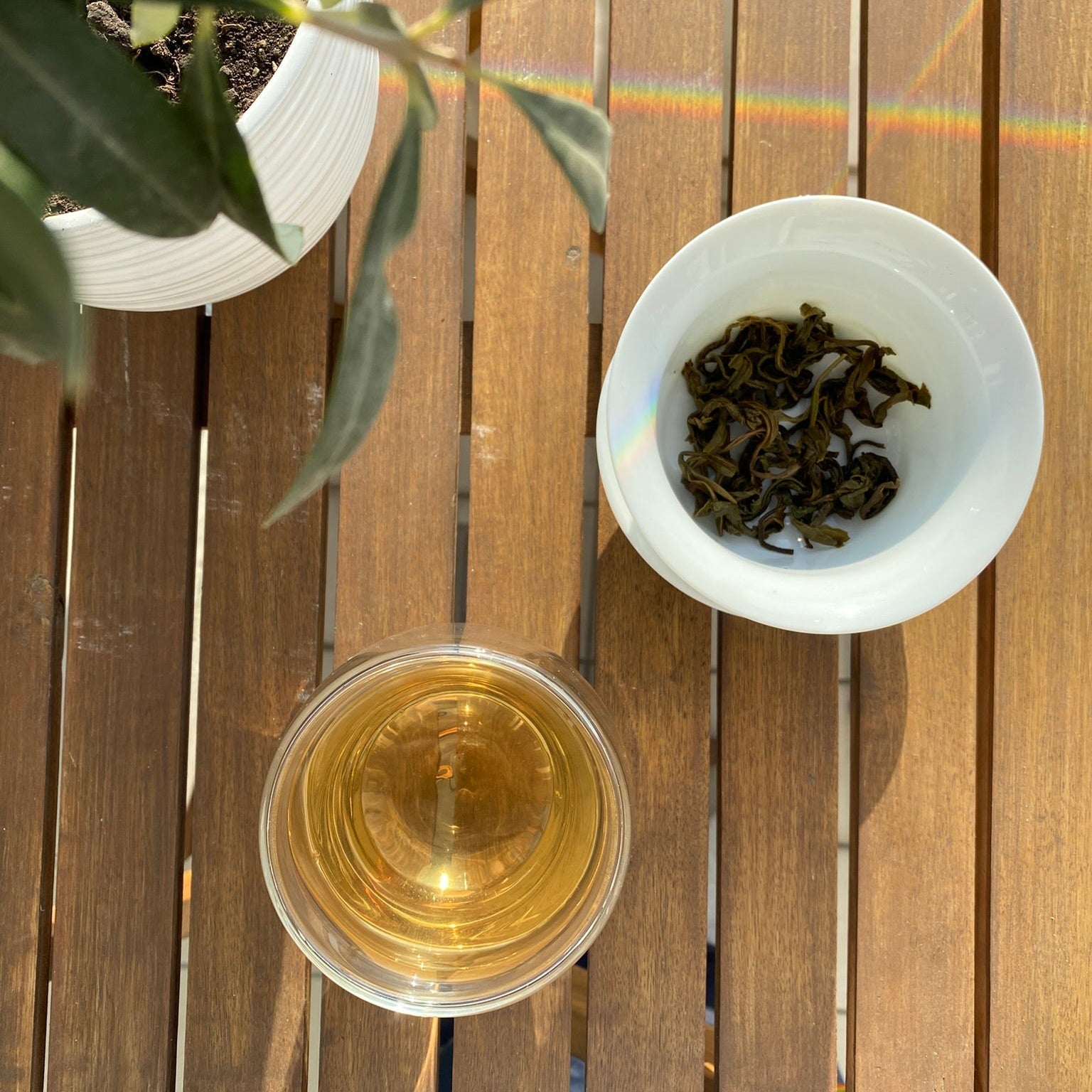 Tè verde thailandese Dhara_ te verde artigianale dalle foreste e montagne della Thailandia del nord