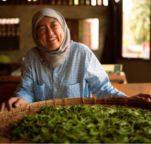 Carica l&#39;immagine nel visualizzatore di Gallery, Tè verde Fiori di Gelsomino Thai (Thailandia)
