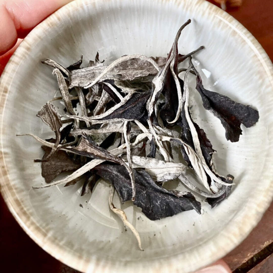Foglie di tè bianco Aged Silver Dew