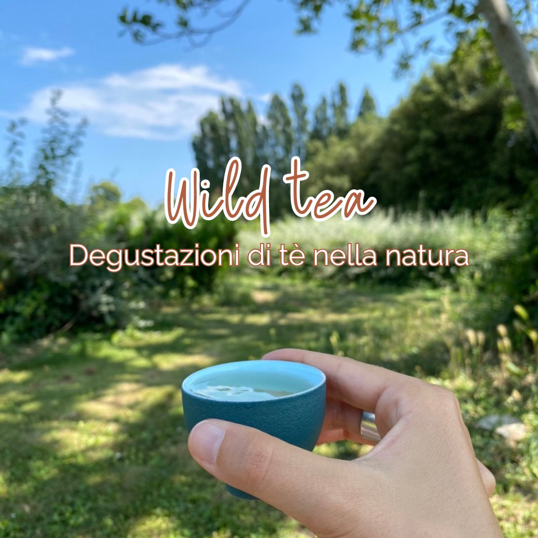 Evento #Wildtea || Degustazione di tè nella natura